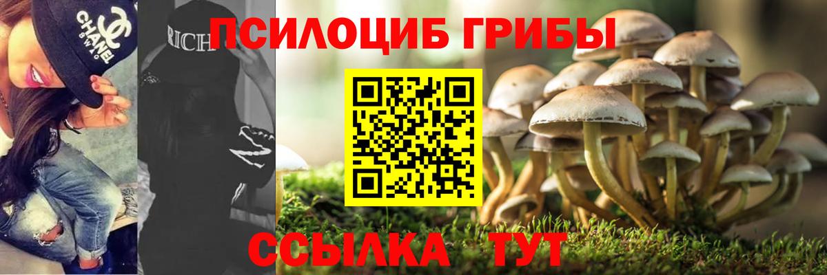 Галлюциногенные грибы мицелий  Вход с VPN  Россошь  Псилоцибиновые грибы MAGIC MUSHROOMS 